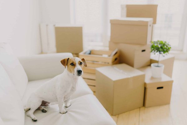 Quelles astuces pour choisir des chaussures de ville confortables et ergonomiques favorisant une bonne posture?